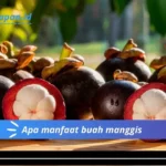 Apa manfaat buah manggis