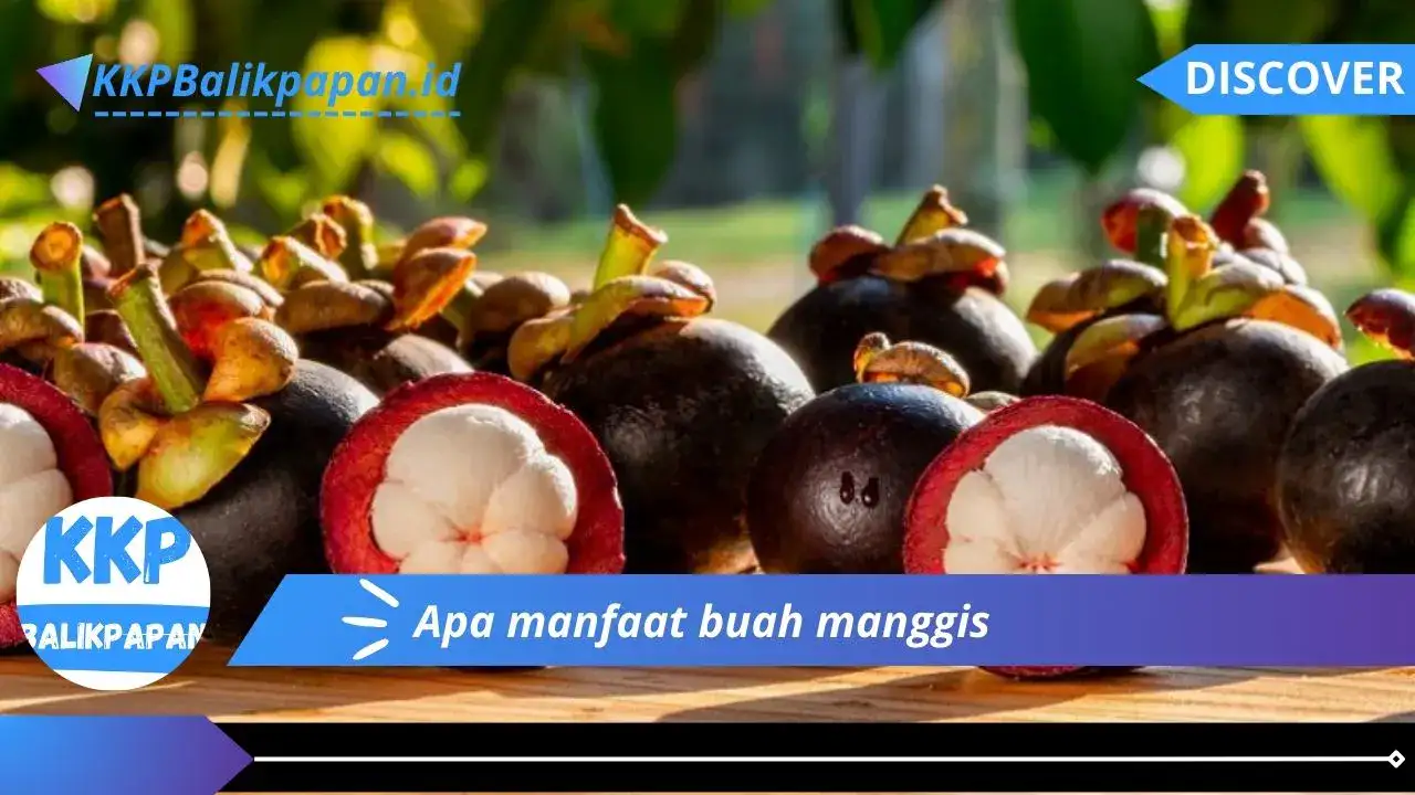 Apa manfaat buah manggis