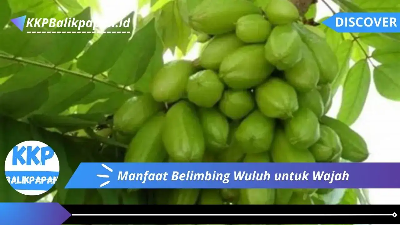 Manfaat Belimbing Wuluh untuk Wajah