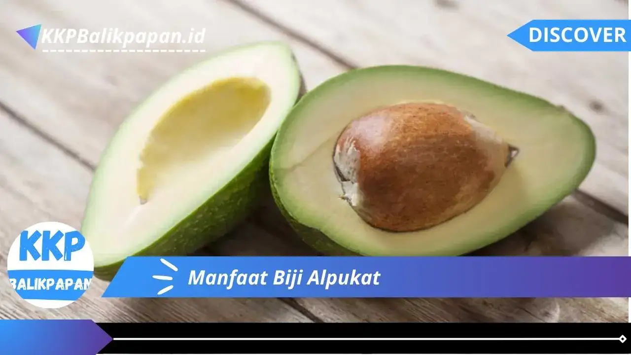 Manfaat Biji Alpukat