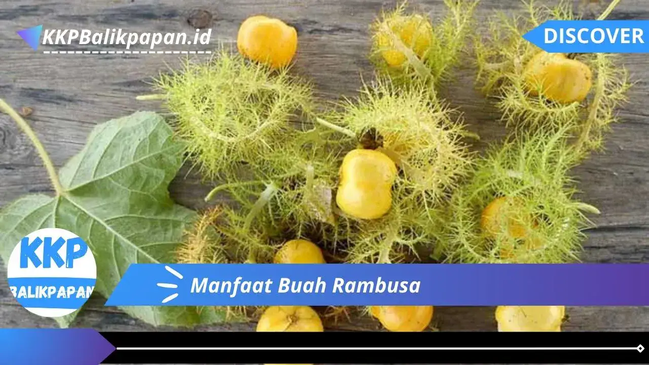 Manfaat Buah Rambusa