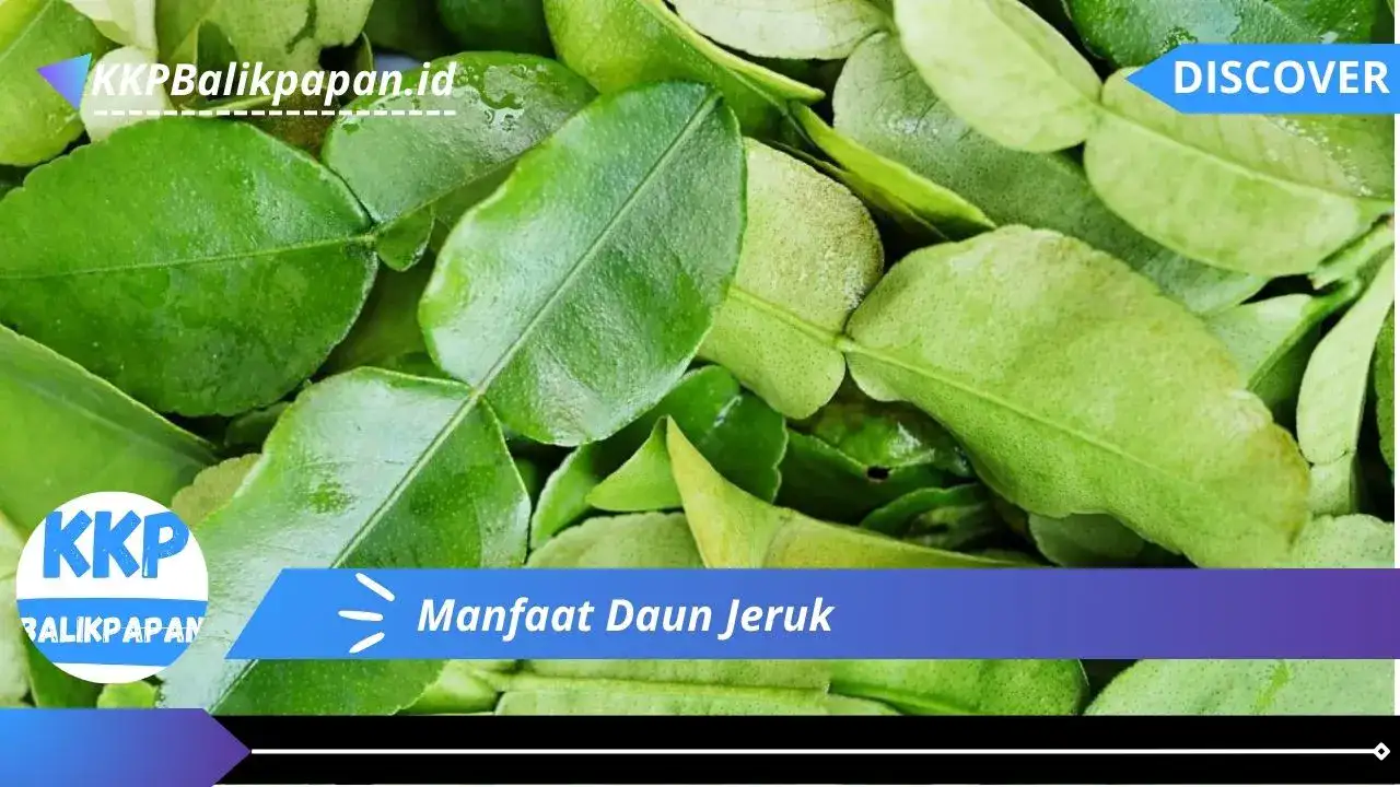 Manfaat Daun Jeruk