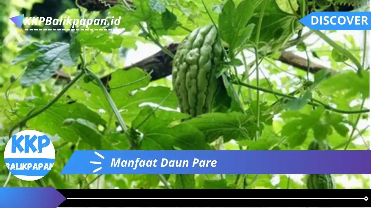 Manfaat Daun Pare