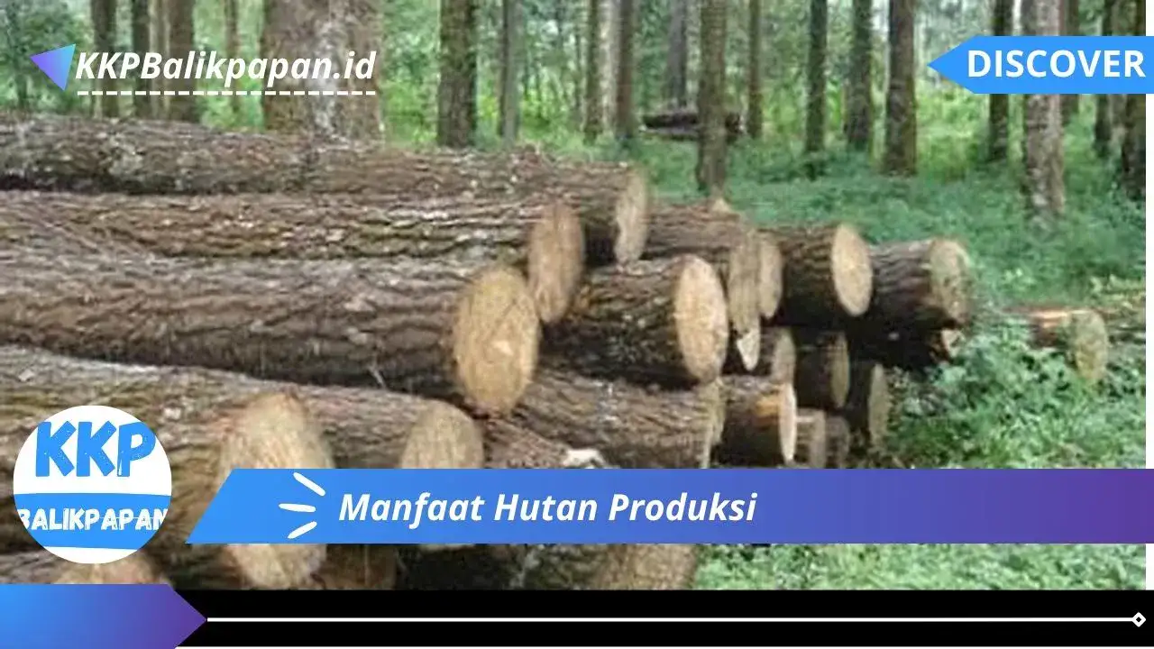 Manfaat Hutan Produksi