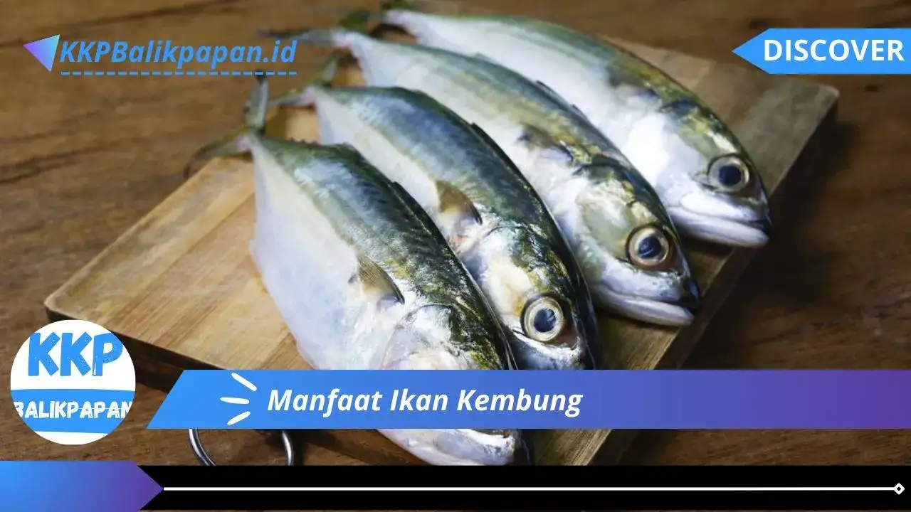 Manfaat Ikan Kembung