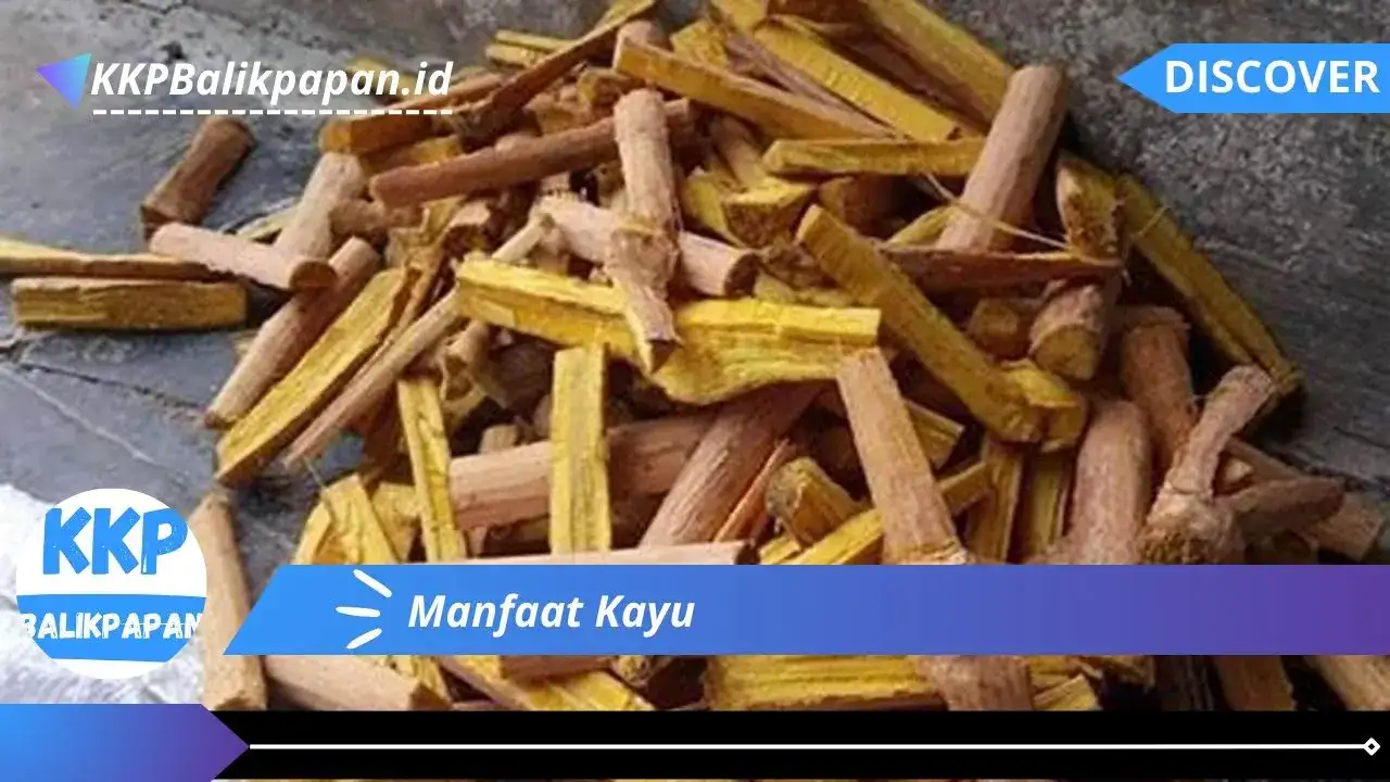 Manfaat Kayu