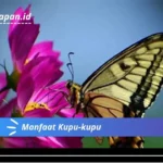 Manfaat Kupu-kupu