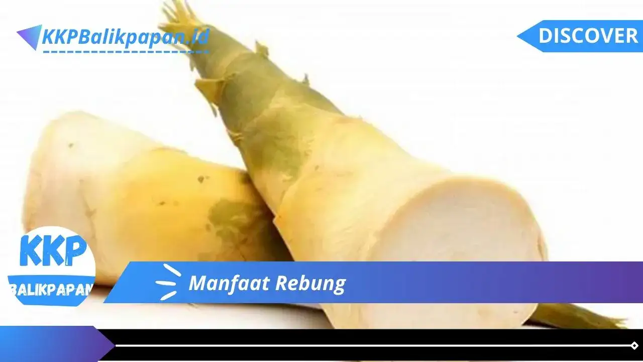 Manfaat Rebung