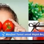 Manfaat Tomat untuk Wajah Berjerawat