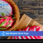 Apa Manfaat Buah Naga