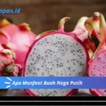 Apa Manfaat Buah Naga Putih