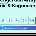 Array Adalah Kata Lain Dari