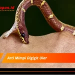 Arti Mimpi Digigit Ular