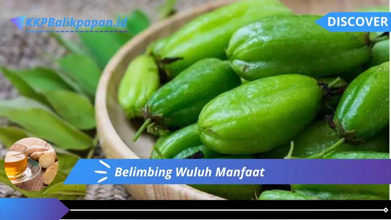 Belimbing Wuluh Manfaat