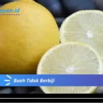 Buah Tidak Berbiji