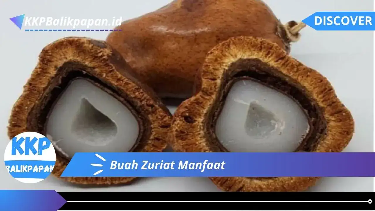 Buah Zuriat Manfaat