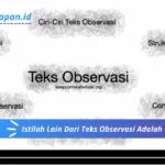 Istilah Lain Dari Teks Observasi Adalah