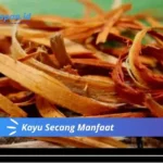 Kayu Secang Manfaat