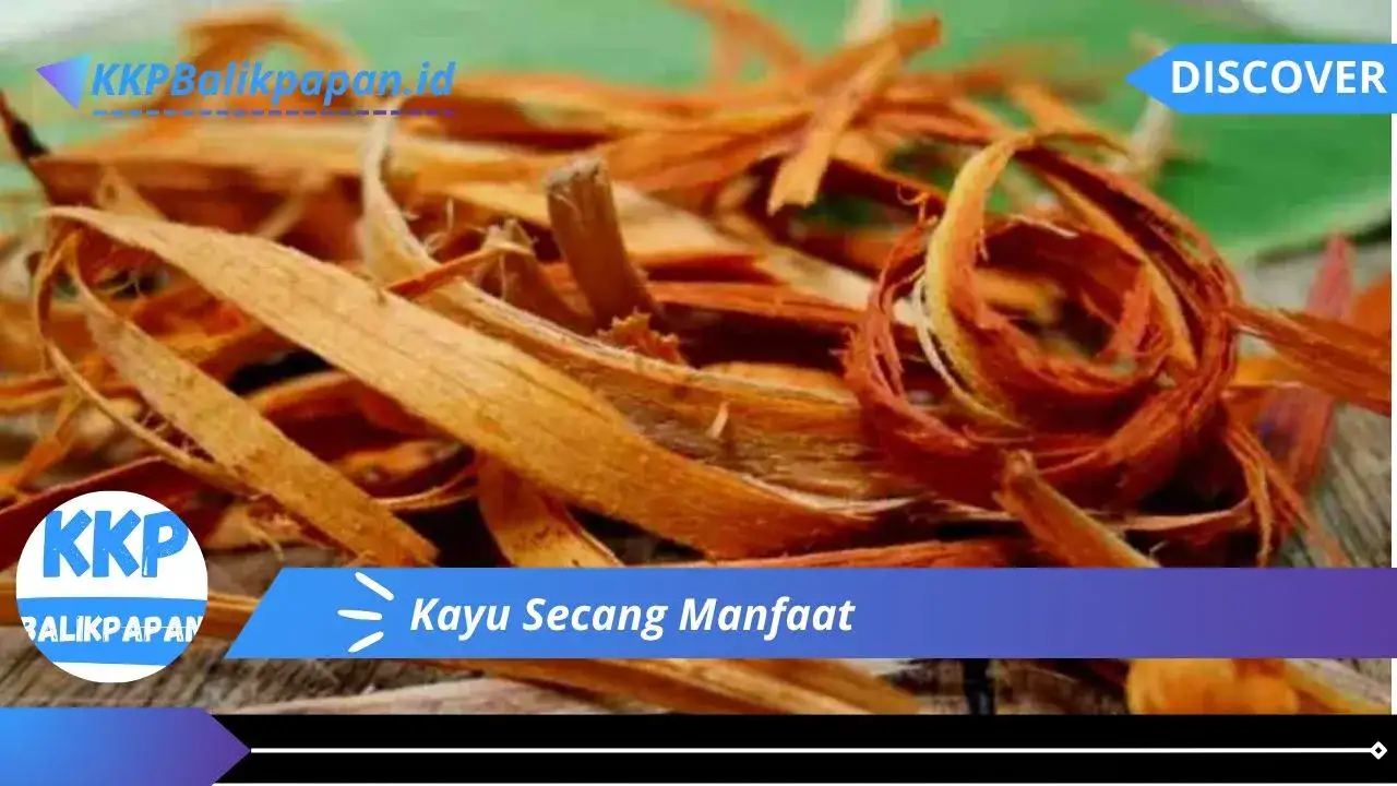 Kayu Secang Manfaat