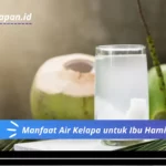 Manfaat Air Kelapa untuk Ibu Hamil