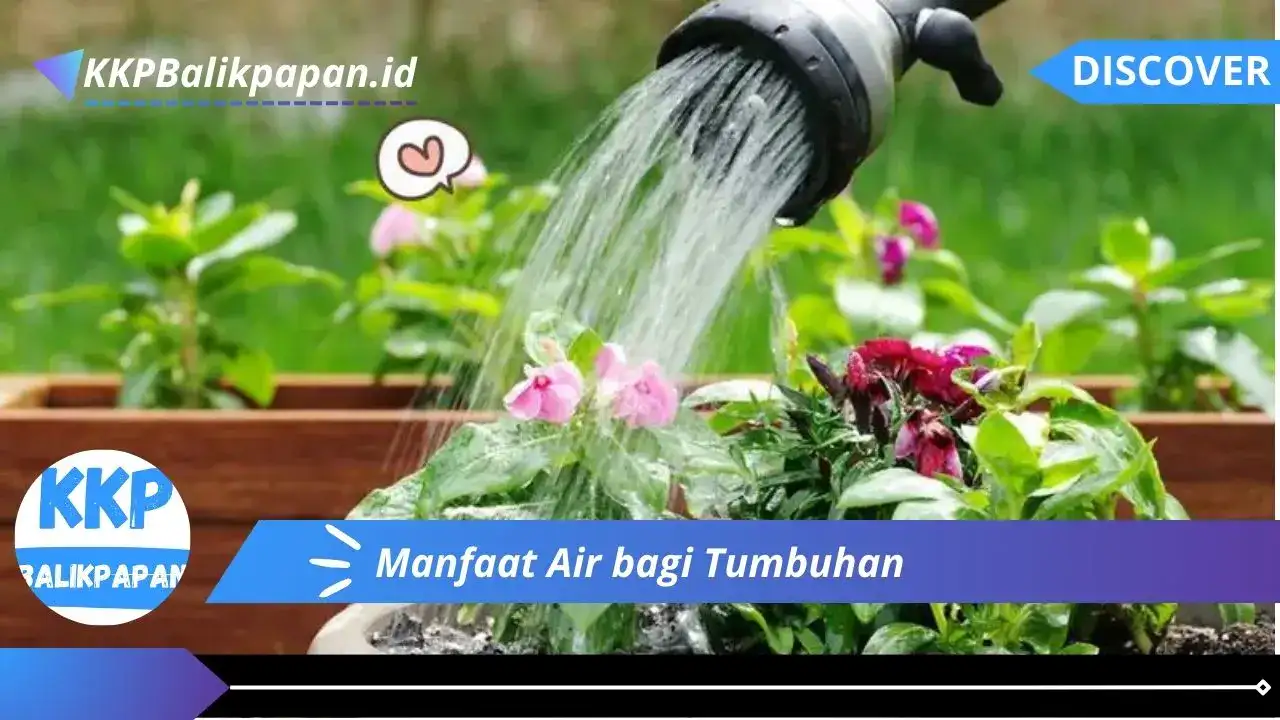 Manfaat Air bagi Tumbuhan