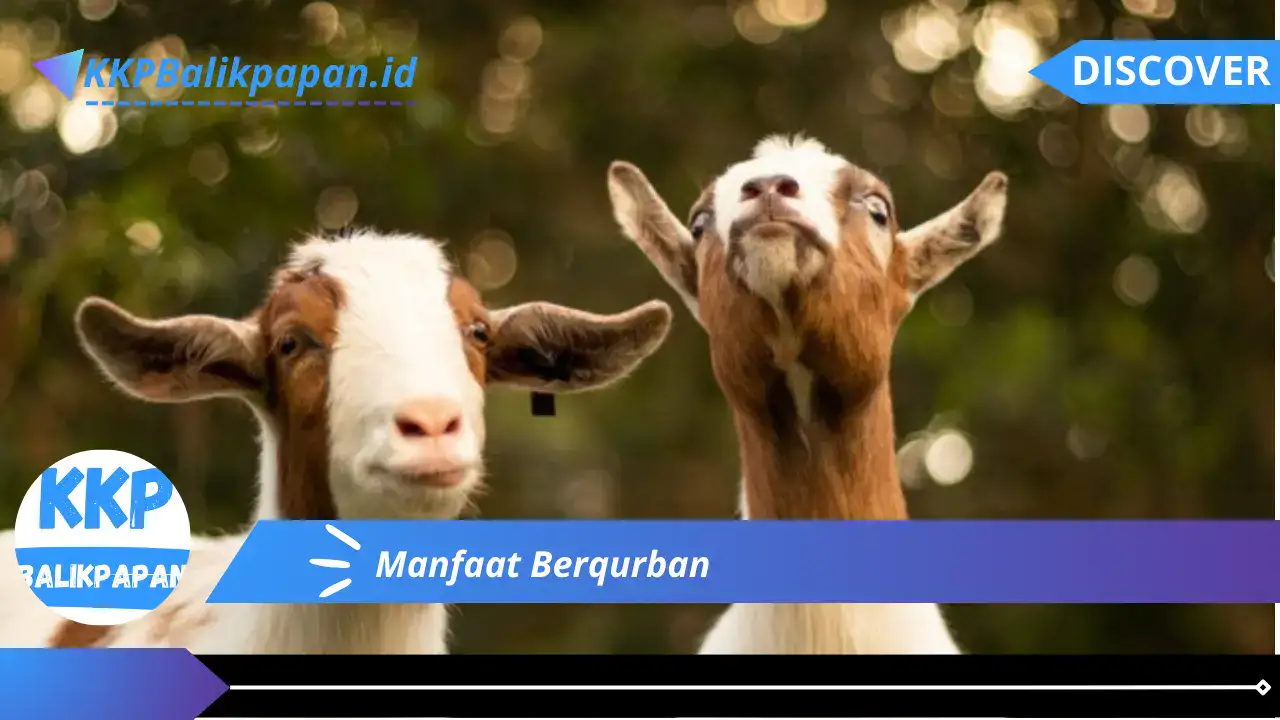 Manfaat Berqurban