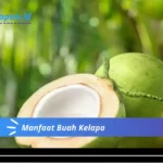 Manfaat Buah Kelapa