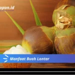 Manfaat Buah Lontar