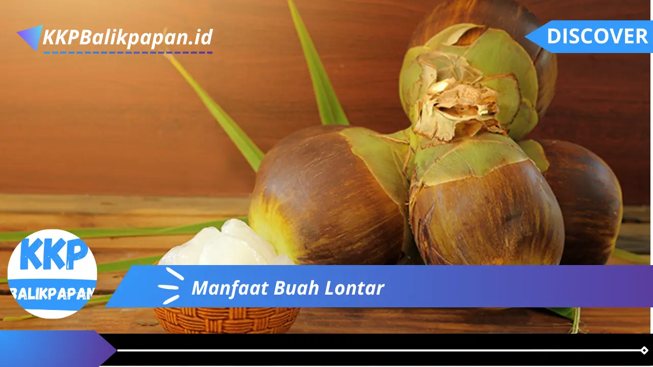 Manfaat Buah Lontar