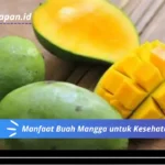 Manfaat Buah Mangga untuk Kesehatan