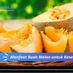 Manfaat Buah Melon untuk Kesehatan