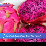 Manfaat Buah Naga Bagi Ibu Hamil