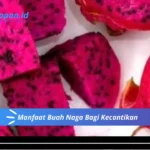 Manfaat Buah Naga Bagi Kecantikan