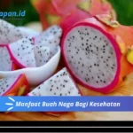 Manfaat Buah Naga Bagi Kesehatan