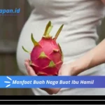 Manfaat Buah Naga Buat Ibu Hamil