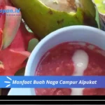 Manfaat Buah Naga Campur Alpukat