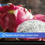 Manfaat Buah Naga Campur Susu