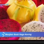 Manfaat Buah Naga Kuning