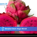 Manfaat Buah Naga Merah