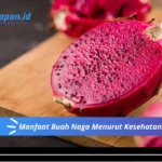 Manfaat Buah Naga Merah Untuk Asam Lambung