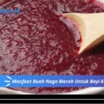 Manfaat Buah Naga Merah Untuk Bayi 6 Bulan