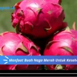 Manfaat Buah Naga Merah Untuk Kesehatan