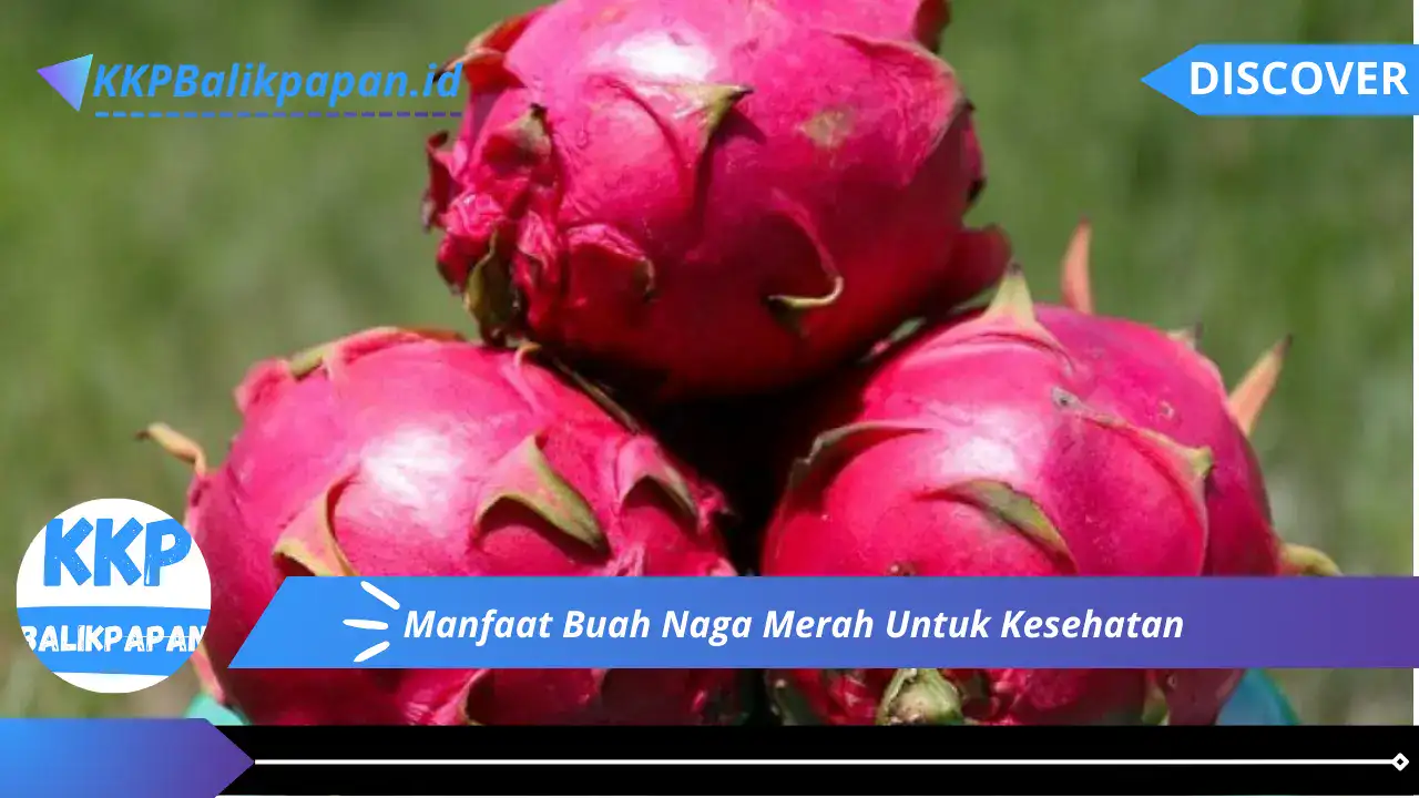 Manfaat Buah Naga Merah Untuk Kesehatan