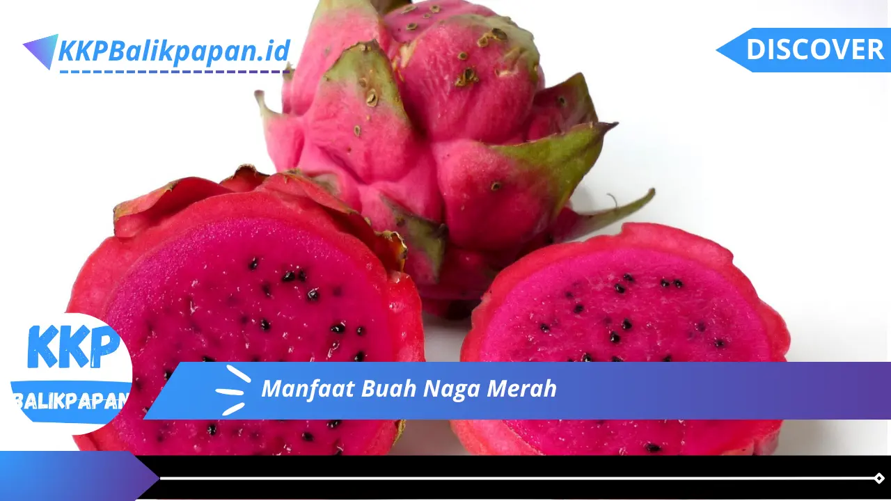 Manfaat Buah Naga Merah