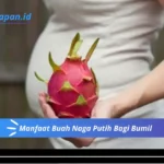 Manfaat Buah Naga Putih Bagi Bumil