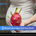 Manfaat Buah Naga Putih Buat Bumil