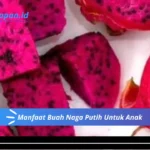 Manfaat Buah Naga Putih Untuk Anak