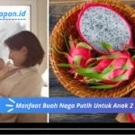 Manfaat Buah Naga Putih Untuk Anak 2 Tahun