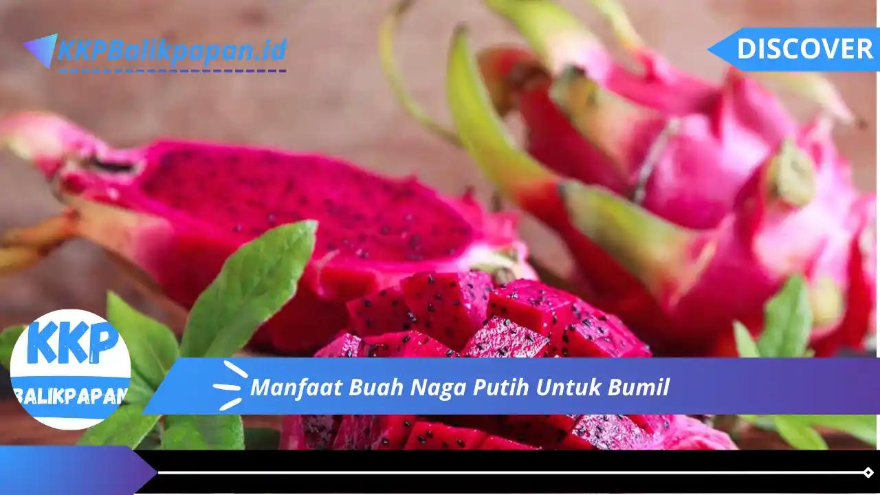 Manfaat Buah Naga Putih Untuk Bumil