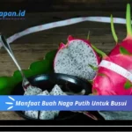 Manfaat Buah Naga Putih Untuk Busui